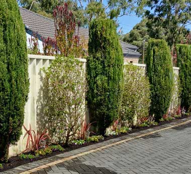 Landscaping